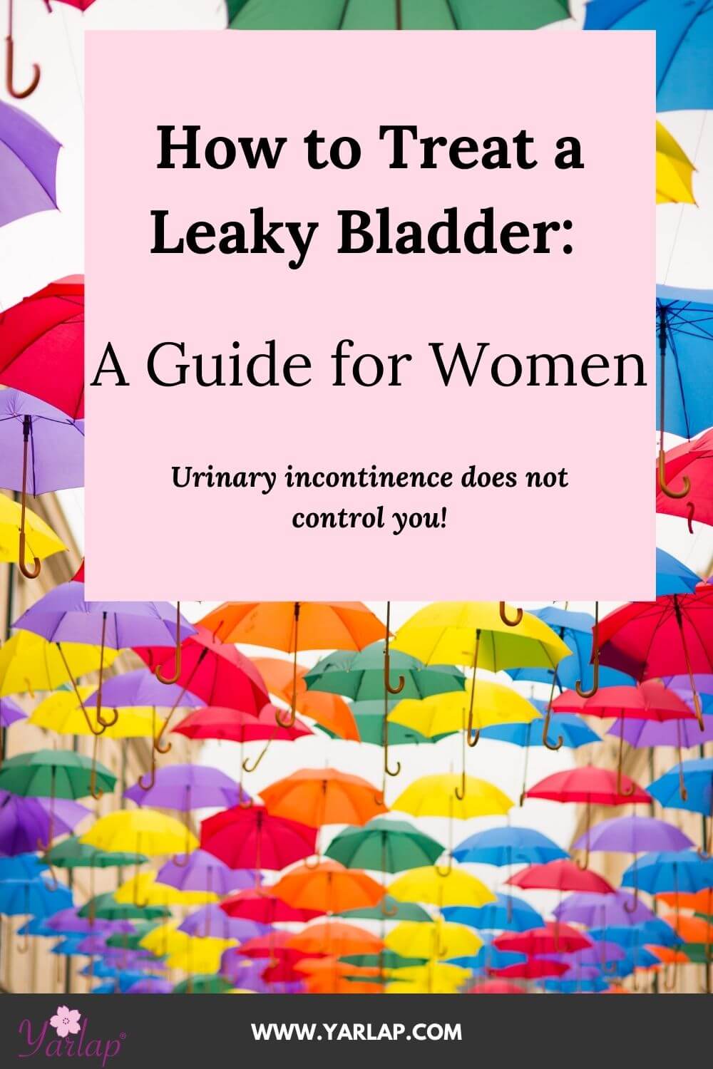 How To Treat A Leaky Bladder A Guide For Women 